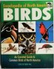 ENCYCLOPEDIA OF NORTH AMERICAN BIRDS - Derek Hall